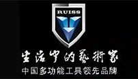 ��ʿ���� RUISS